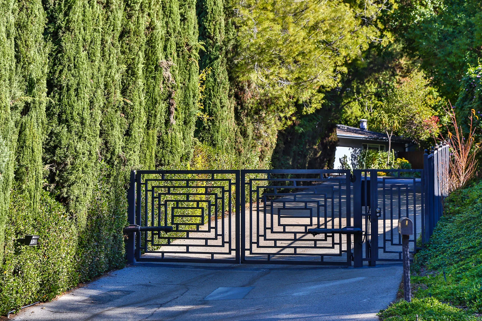 17008Escalon01.jpg