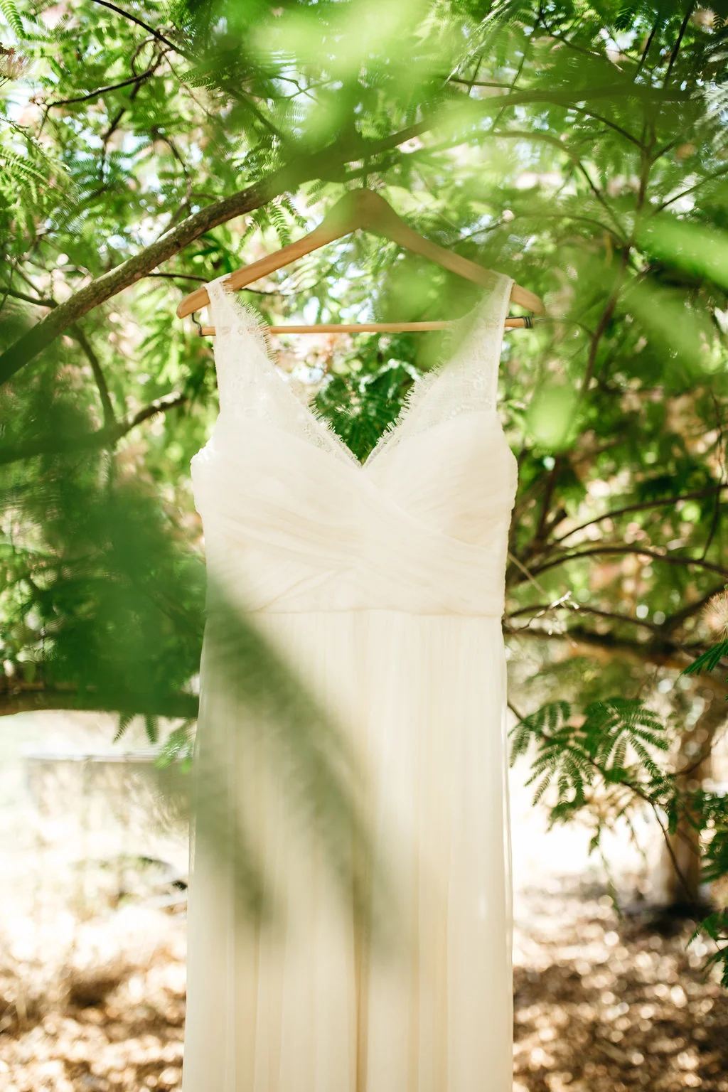 m+s-1186.jpg