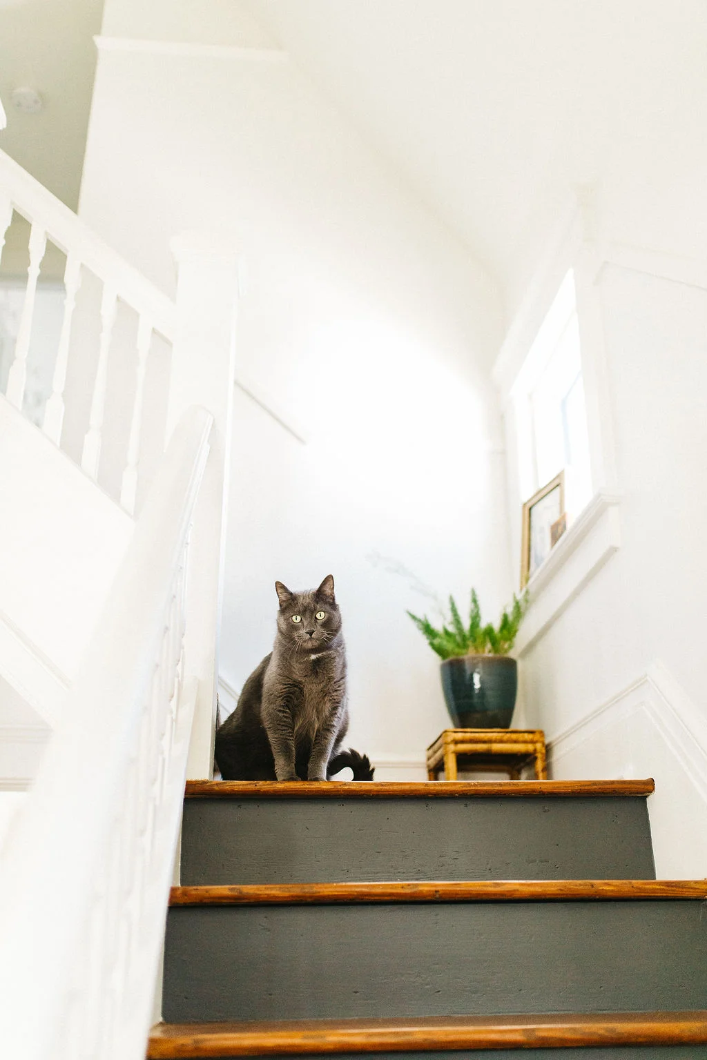 diana-matt-home281.jpg