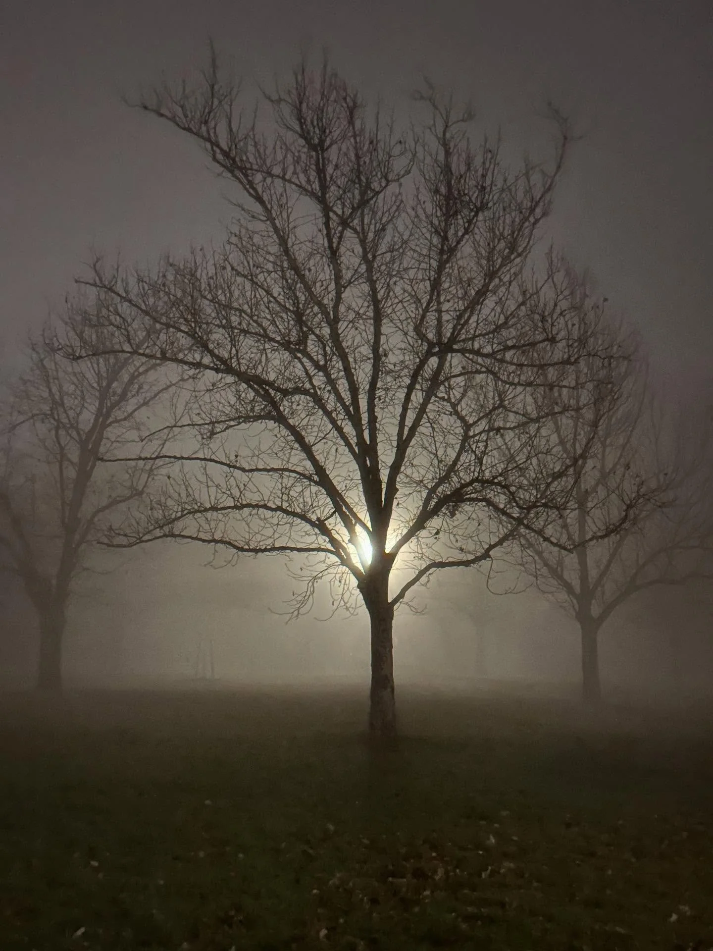 Night fog