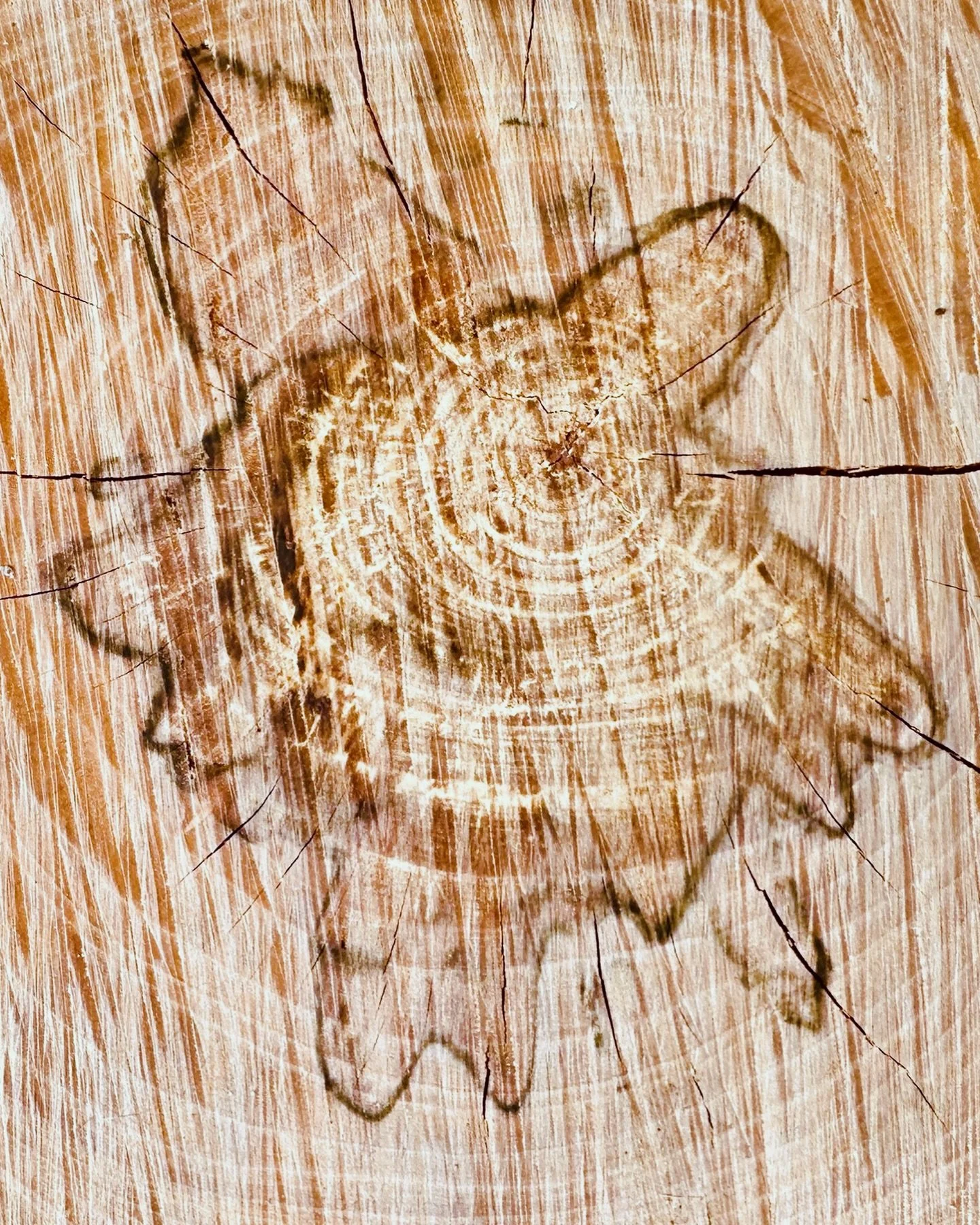 Somethings wrong on the inside&hellip;