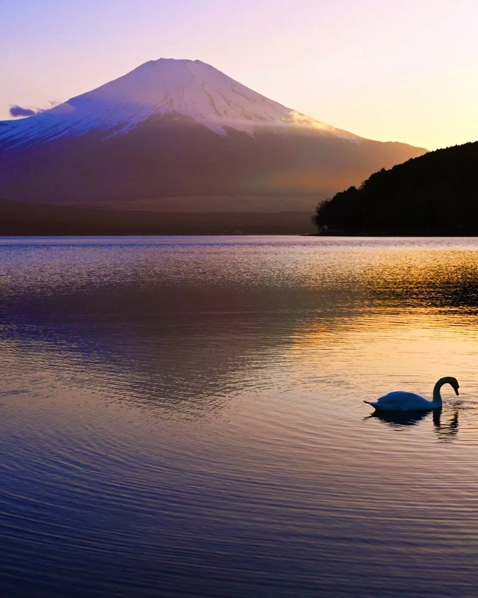 Swan&hellip; Lake&hellip; Yamanaka