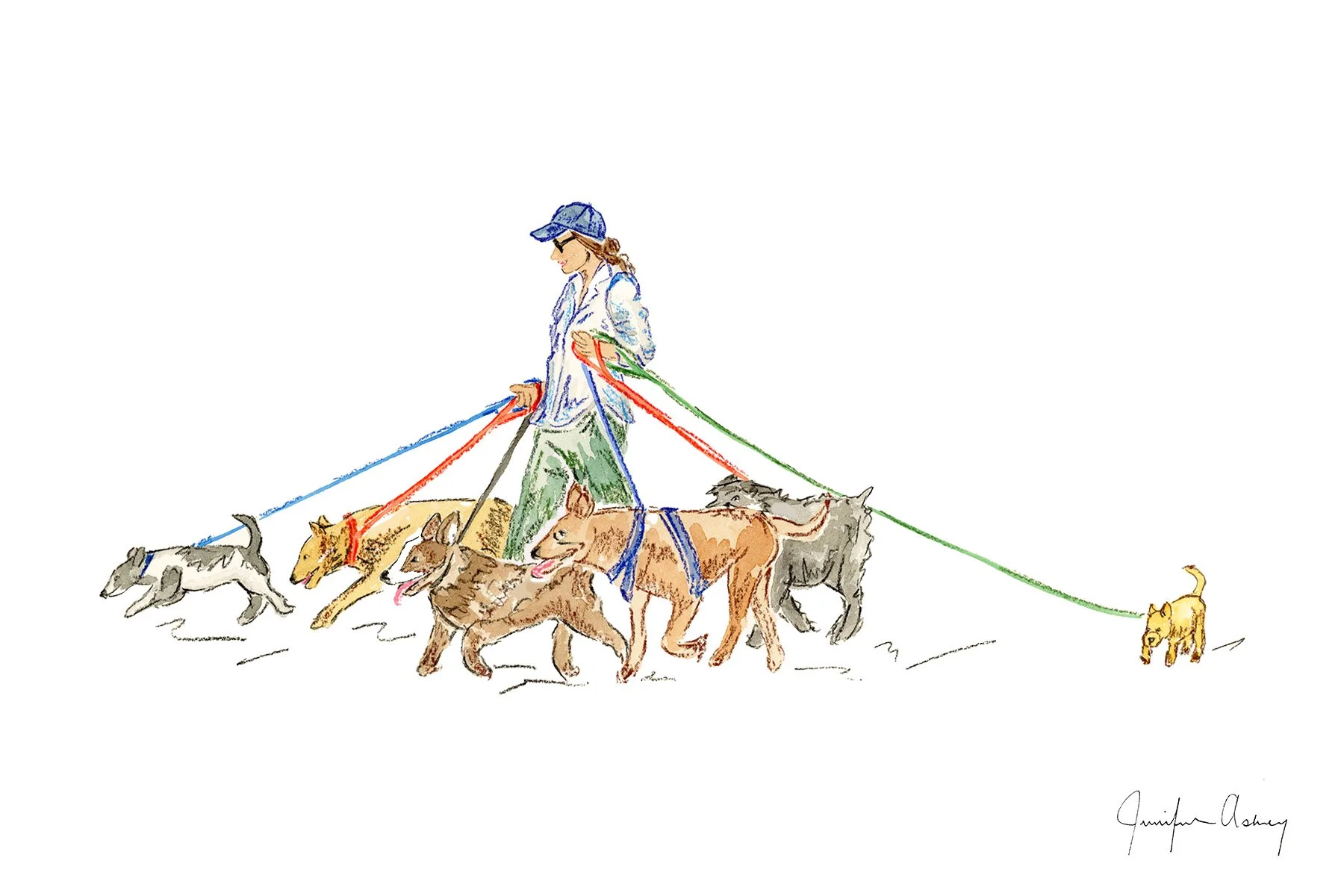 DogWalker copy.jpg