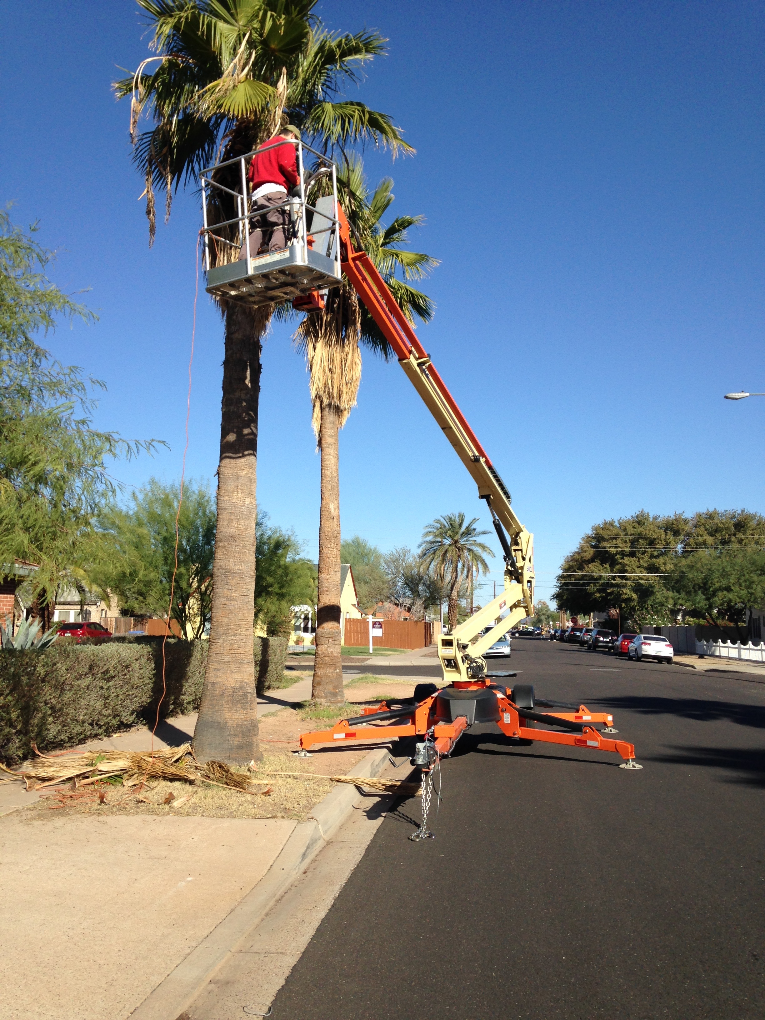 Who else would rent a 50 ft. boom lift to trim palm trees?