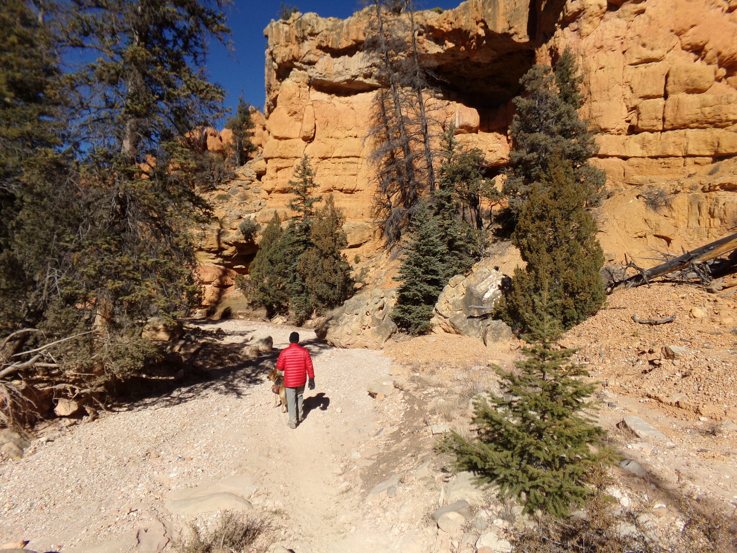 Losee Canyon Trail - a nice, easy walk through beautiful canyon country.