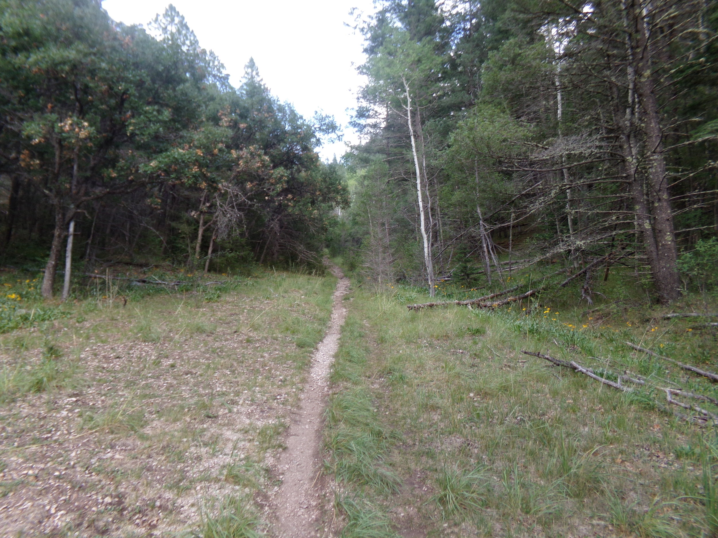 Bailey Canyon Trail