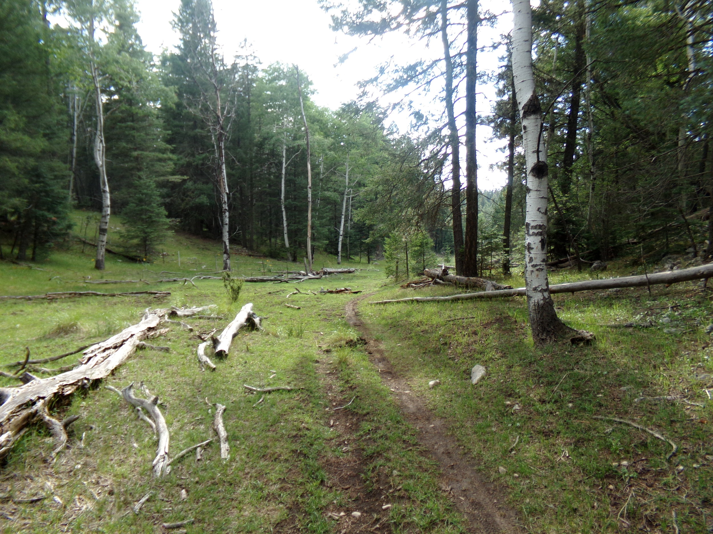 Bailey Canyon Trail