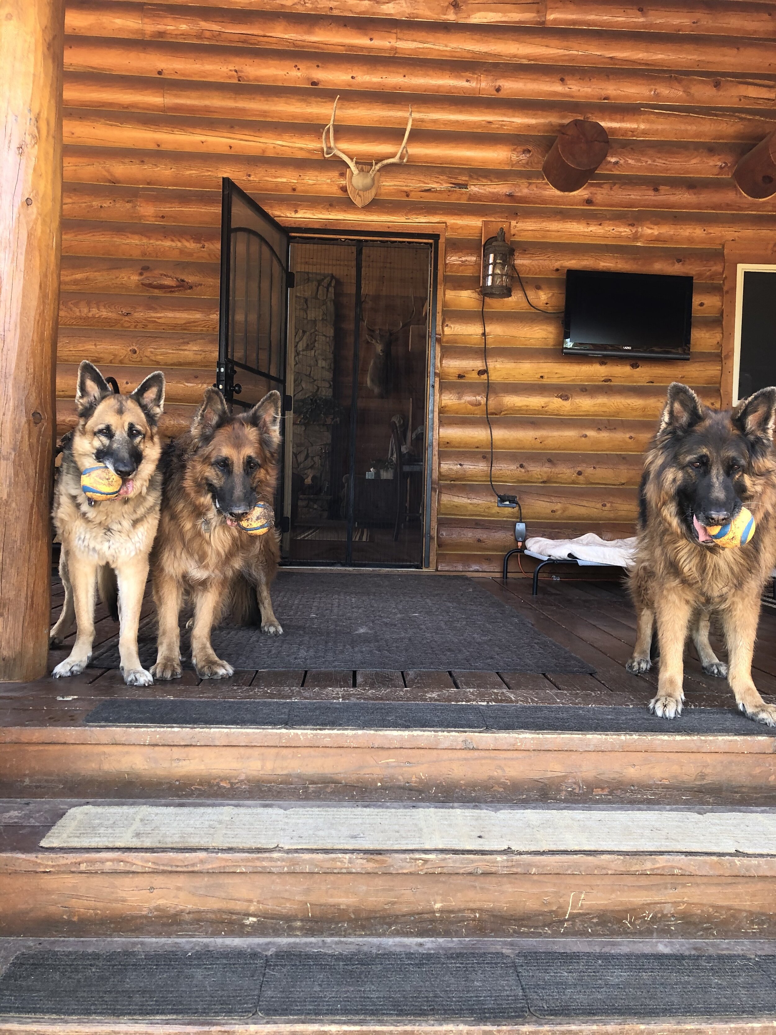 Callahan, Shadow, and Brina