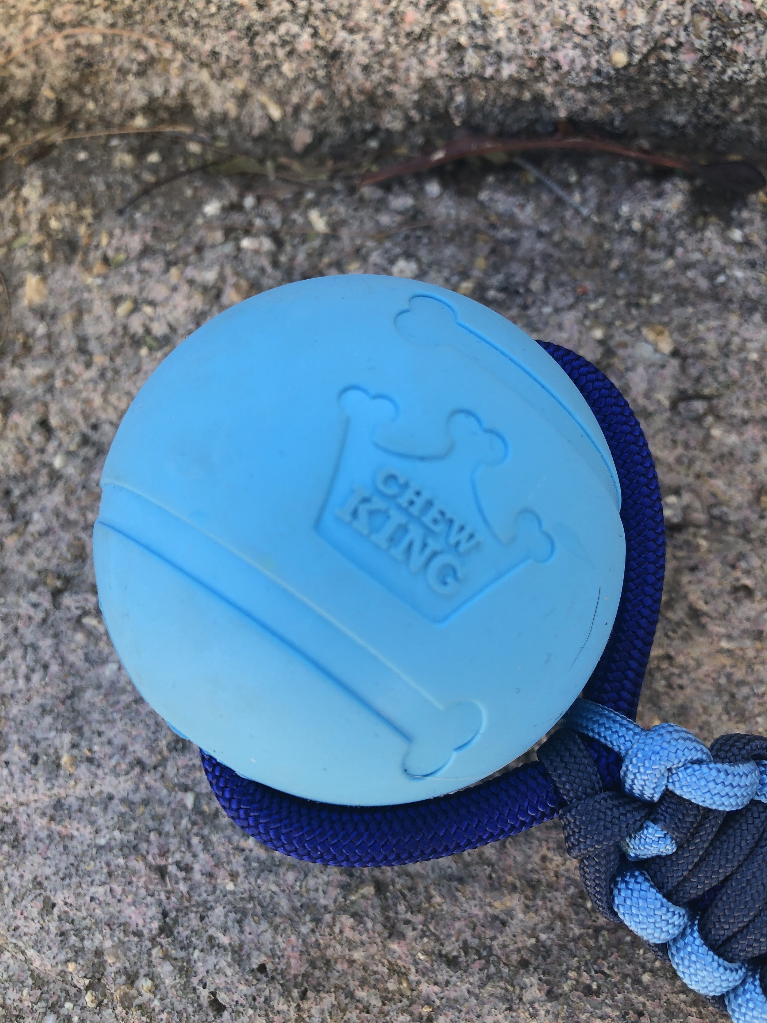 This is a 2.5" durable Chew King ball with a light blue and navy 550 paracord handle.