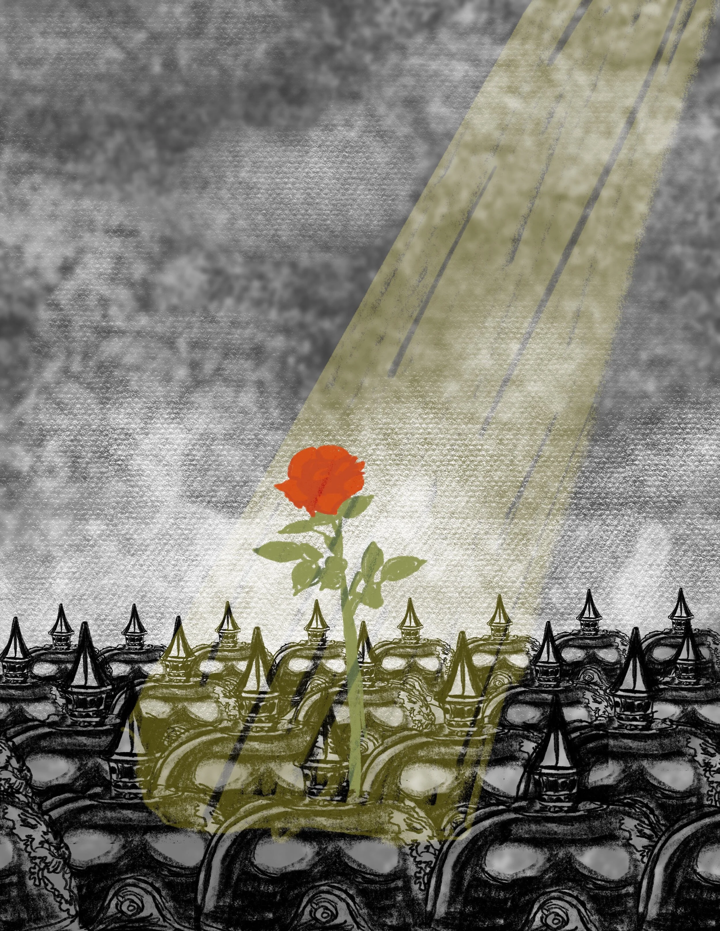 City of Roses: Illustration Comission