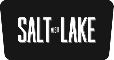 VSL_Logo_FullColor_af174031-17fb-436b-bbd0-7cb041c0259b.png