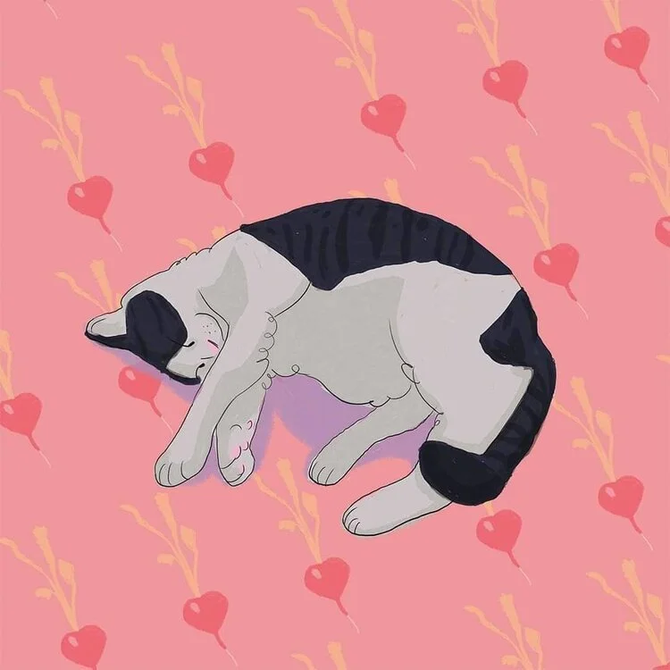 Radish Commission - Illustration of Pet