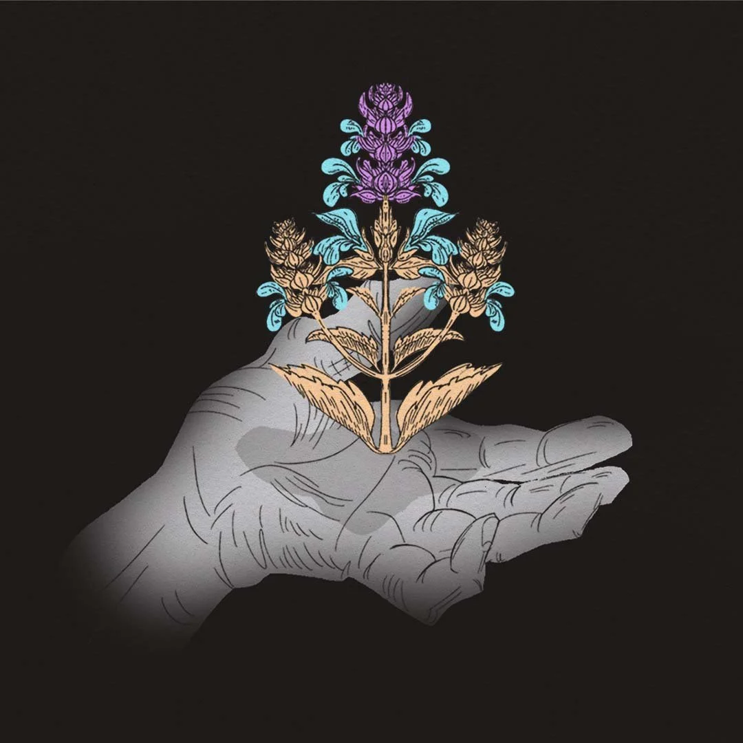 To Bloom: Poster Illustration Commission