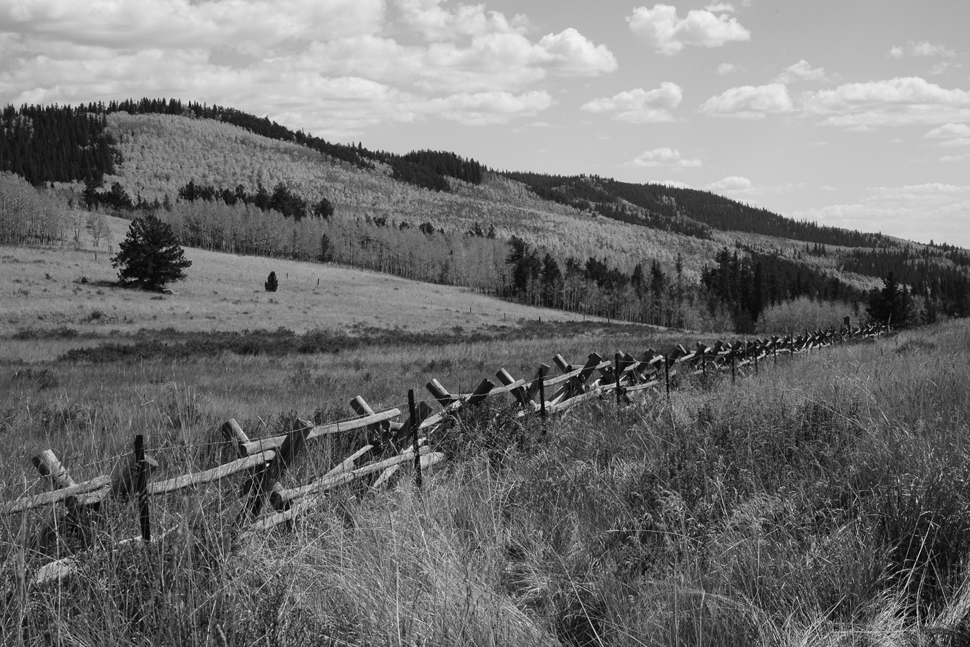  Kenosha Pass, Colorado - b&amp;w 