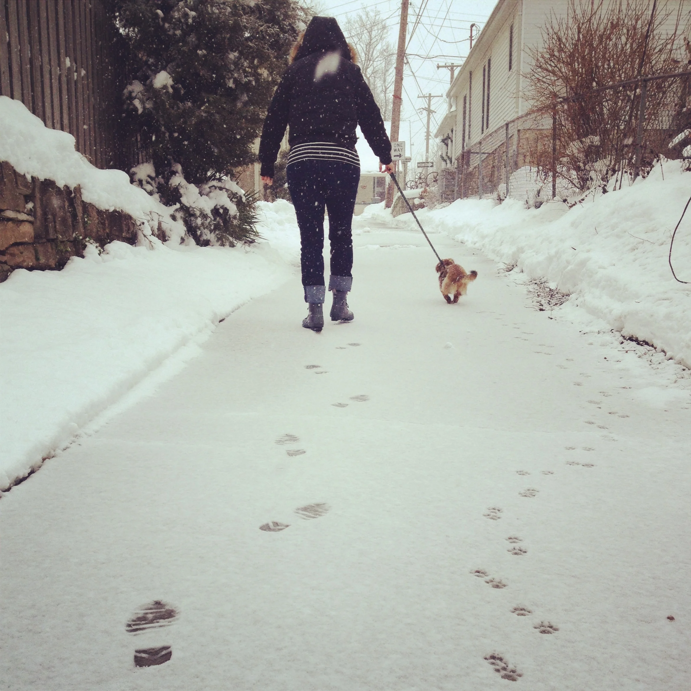snow.jpg