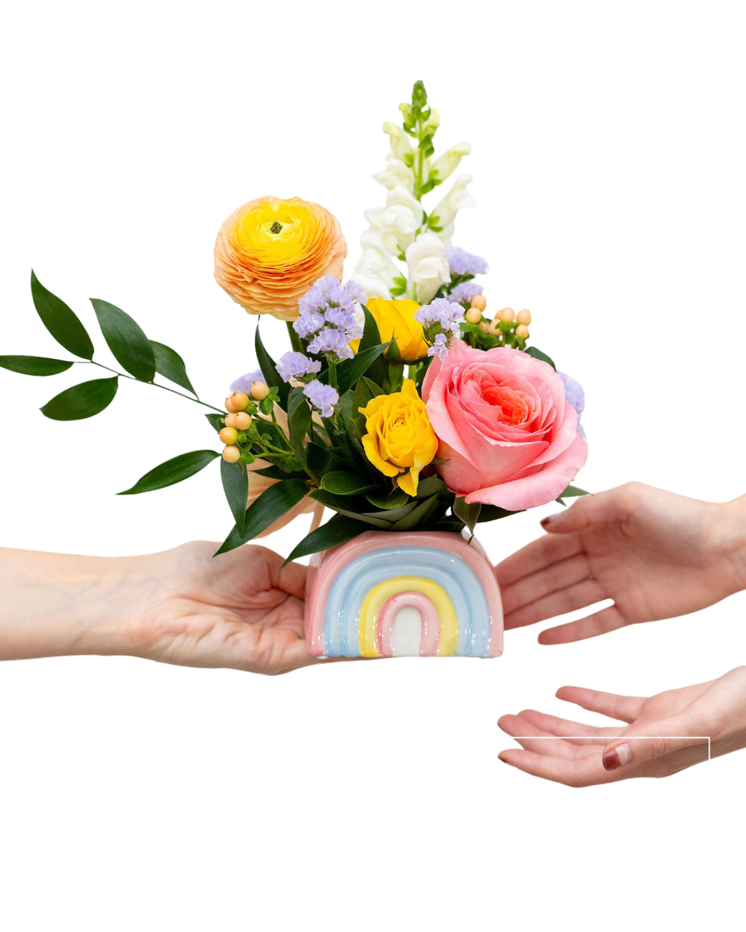 Rainbow Blooms