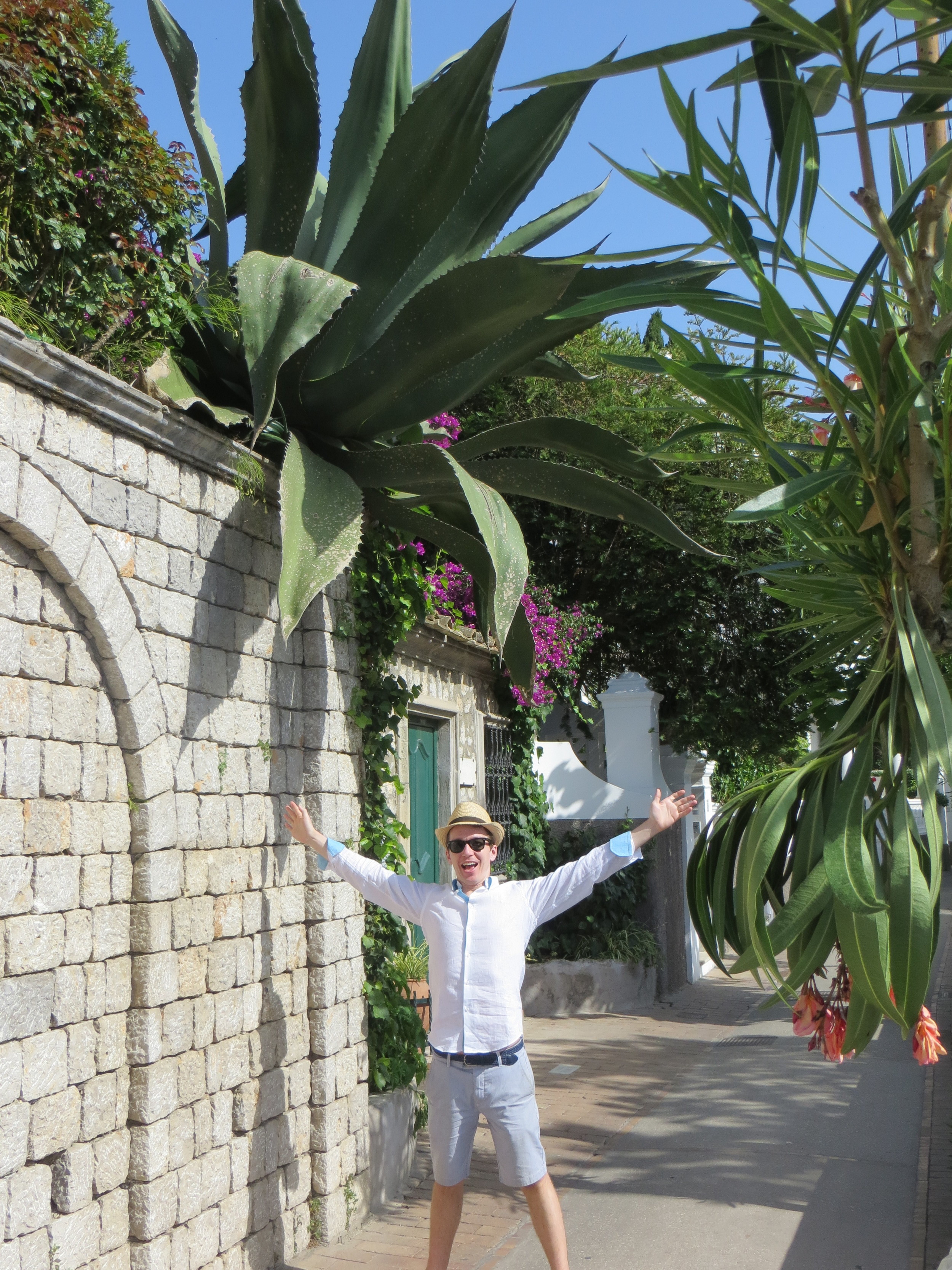 This Agave seemed to be defying the laws of gravity. 