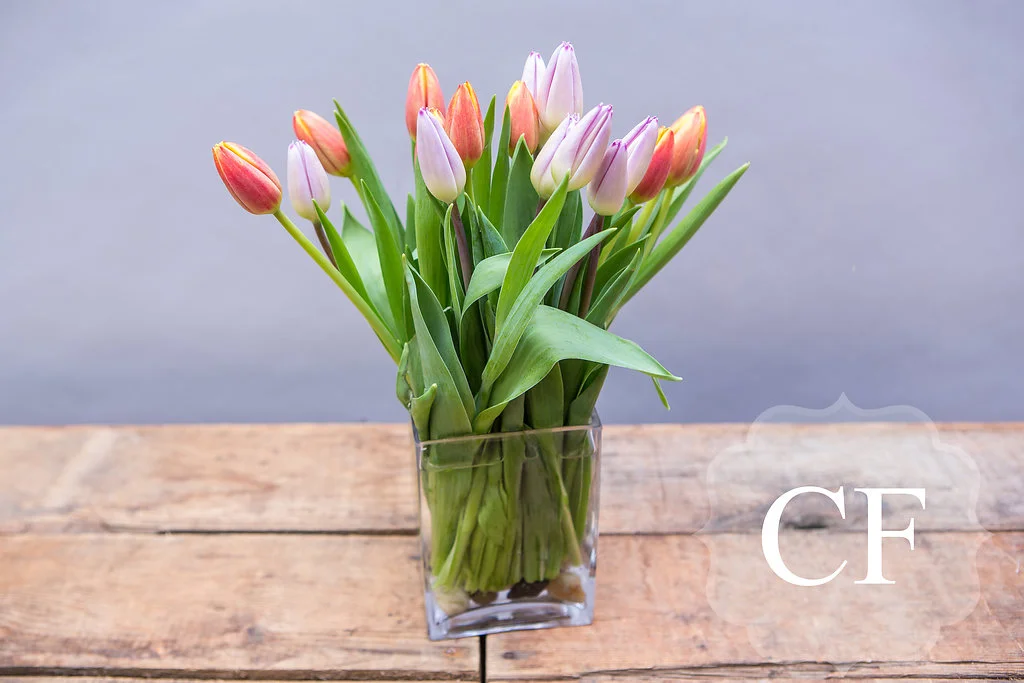 Simple Tulips