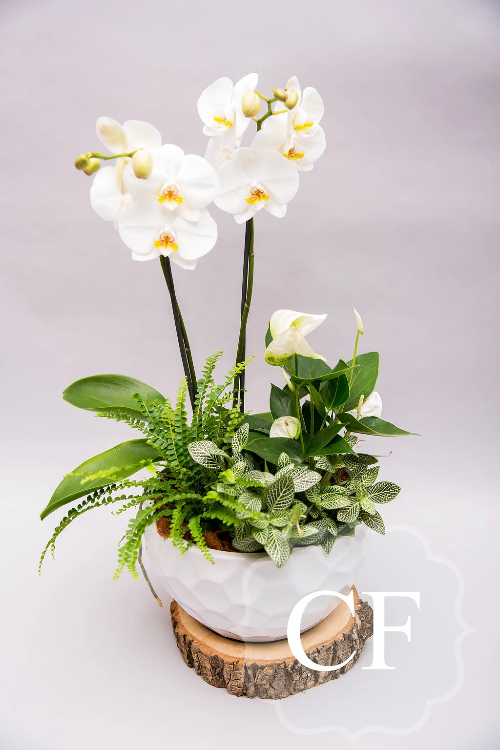 Shop Everyday Flowers delivery Waterloo & Kitchener — Charmed Flowers