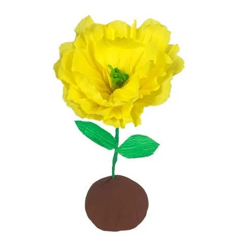 mini-surprize-ball-flower-bulb-yellow-WEB_large.jpg