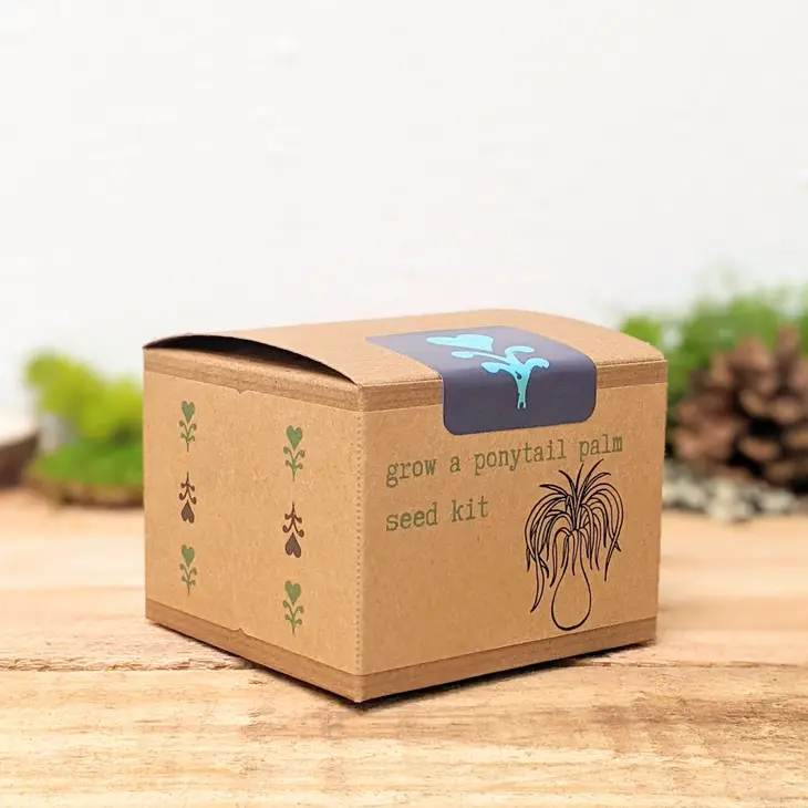 House Plant Seed Kits — Charmed Flowers Waterloo Florist Buy