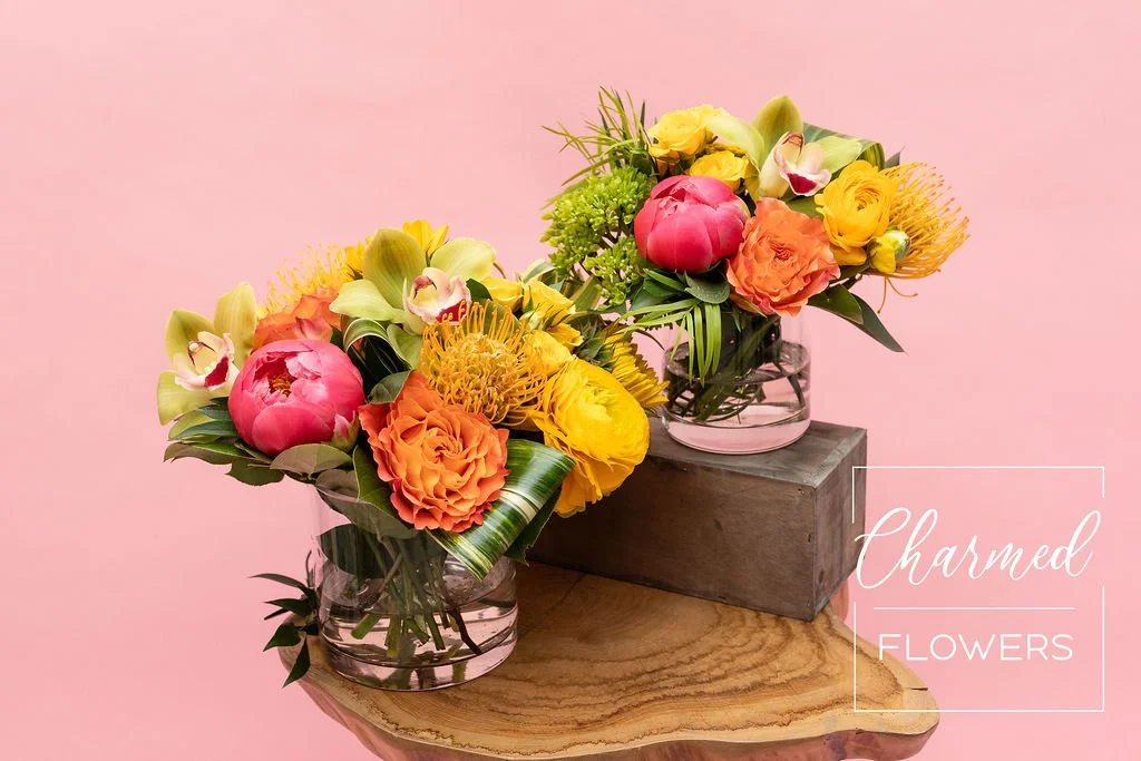 The Citrus Garden, bright, bold, and colourful. Tropical spring feel!