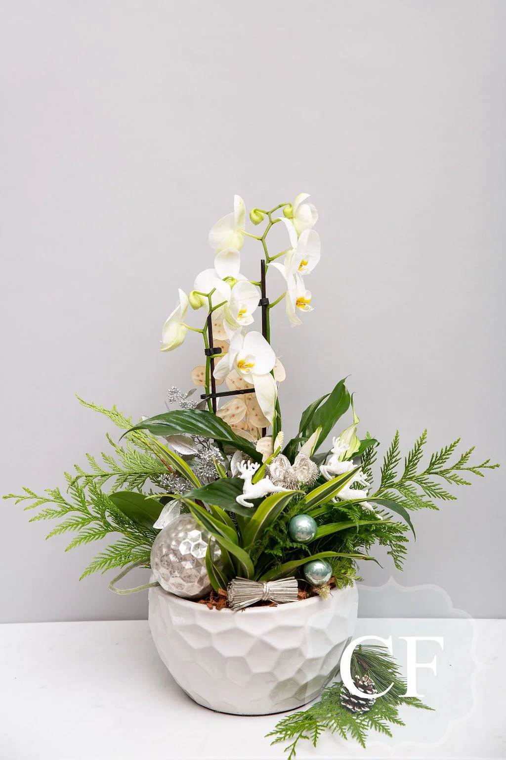 Winter Wonderland Plant Arrangement