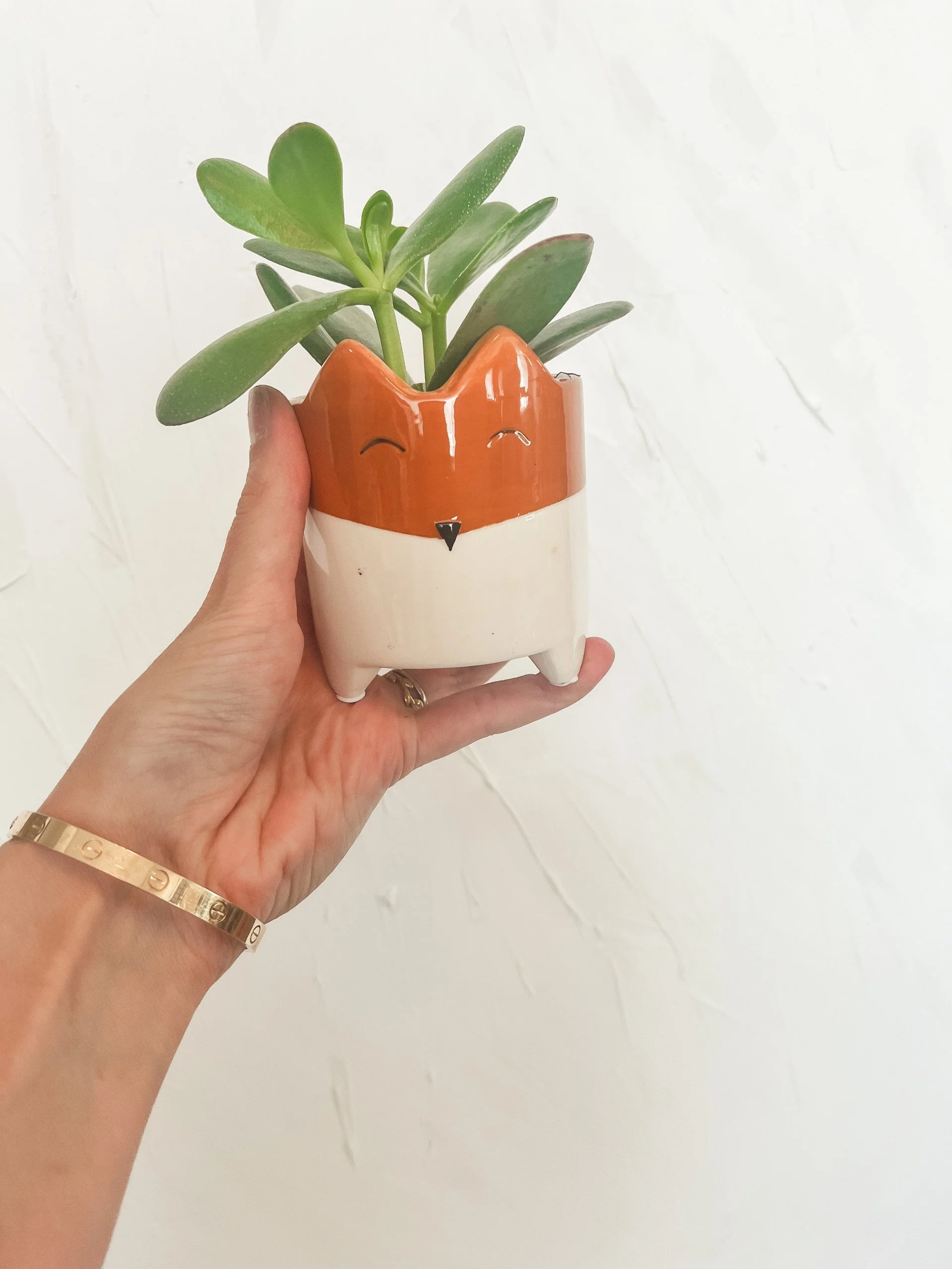 Mini Fox Planter