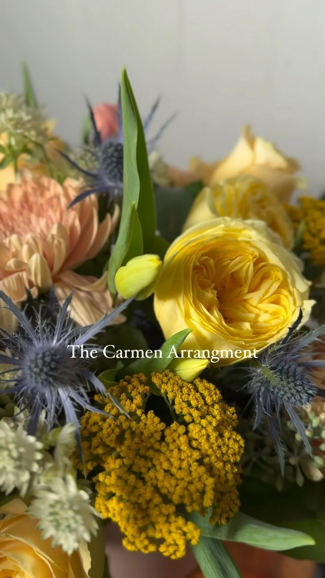 Suncatchers and Suncatcher Decals — Charmed Flowers Waterloo Florist Buy Flowers Online for