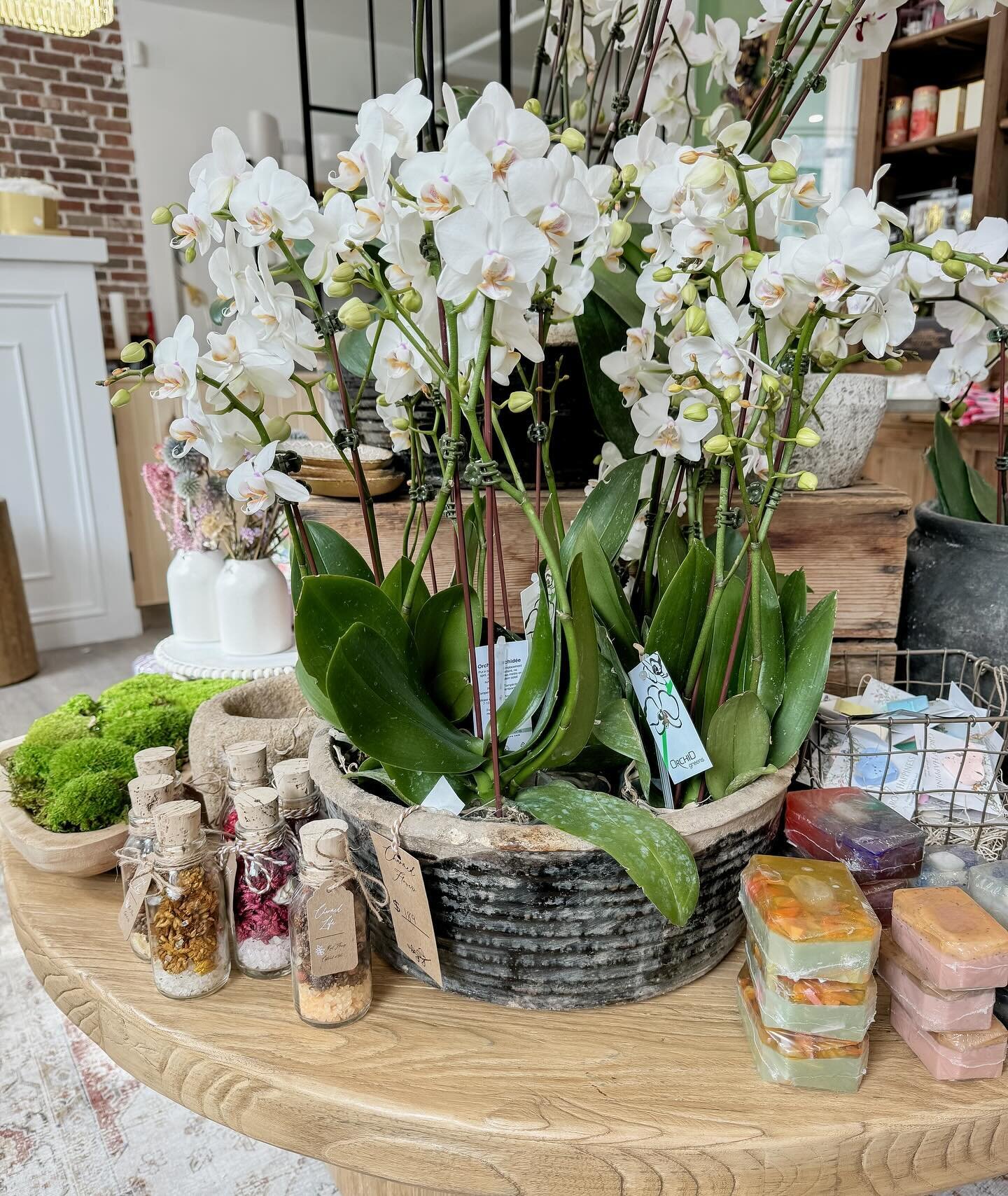 Charmed Flowers Waterloo Florist Buy Flowers Online for Delivery