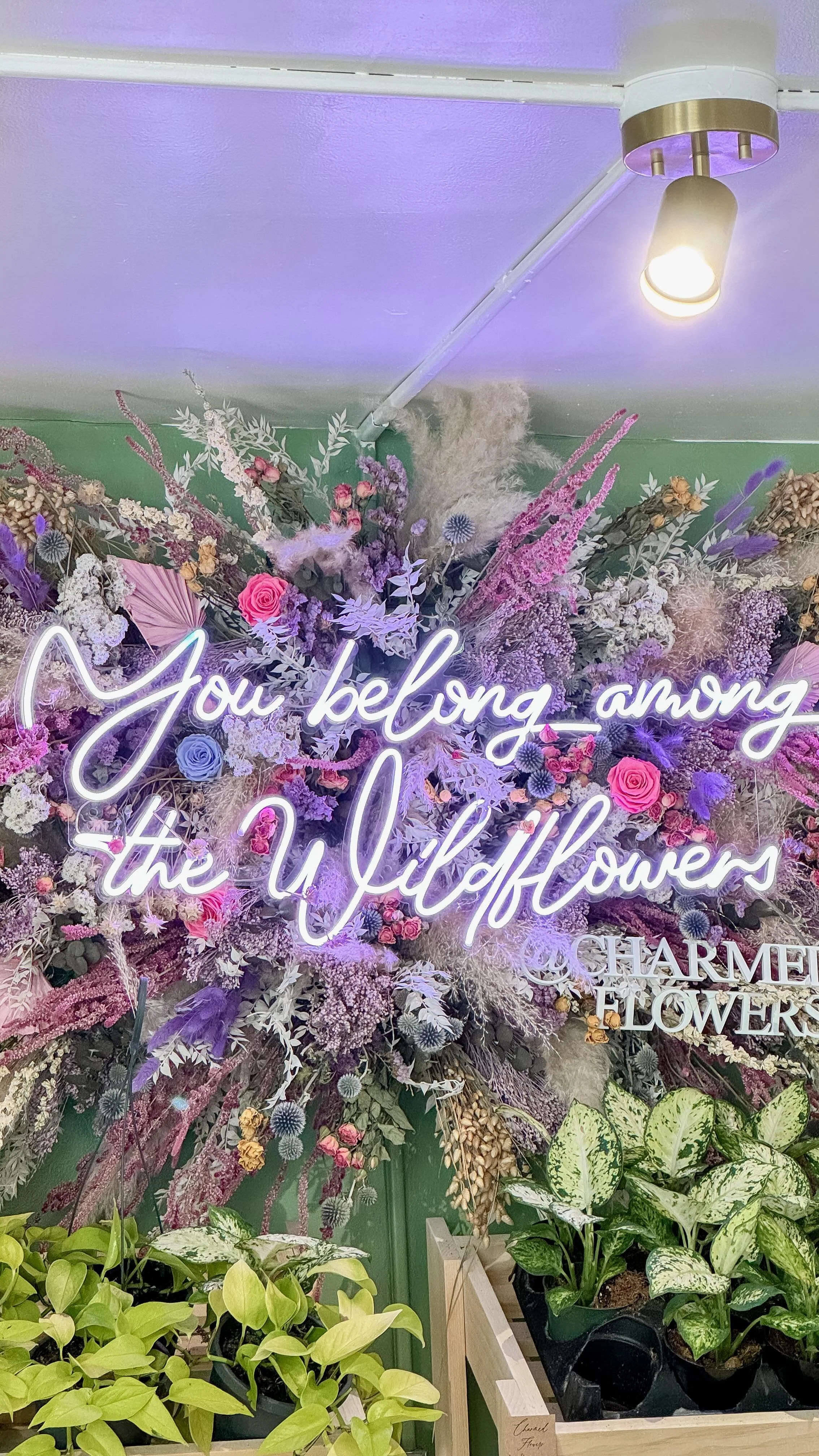 Charmed Flowers Waterloo Florist Buy Flowers Online for Delivery