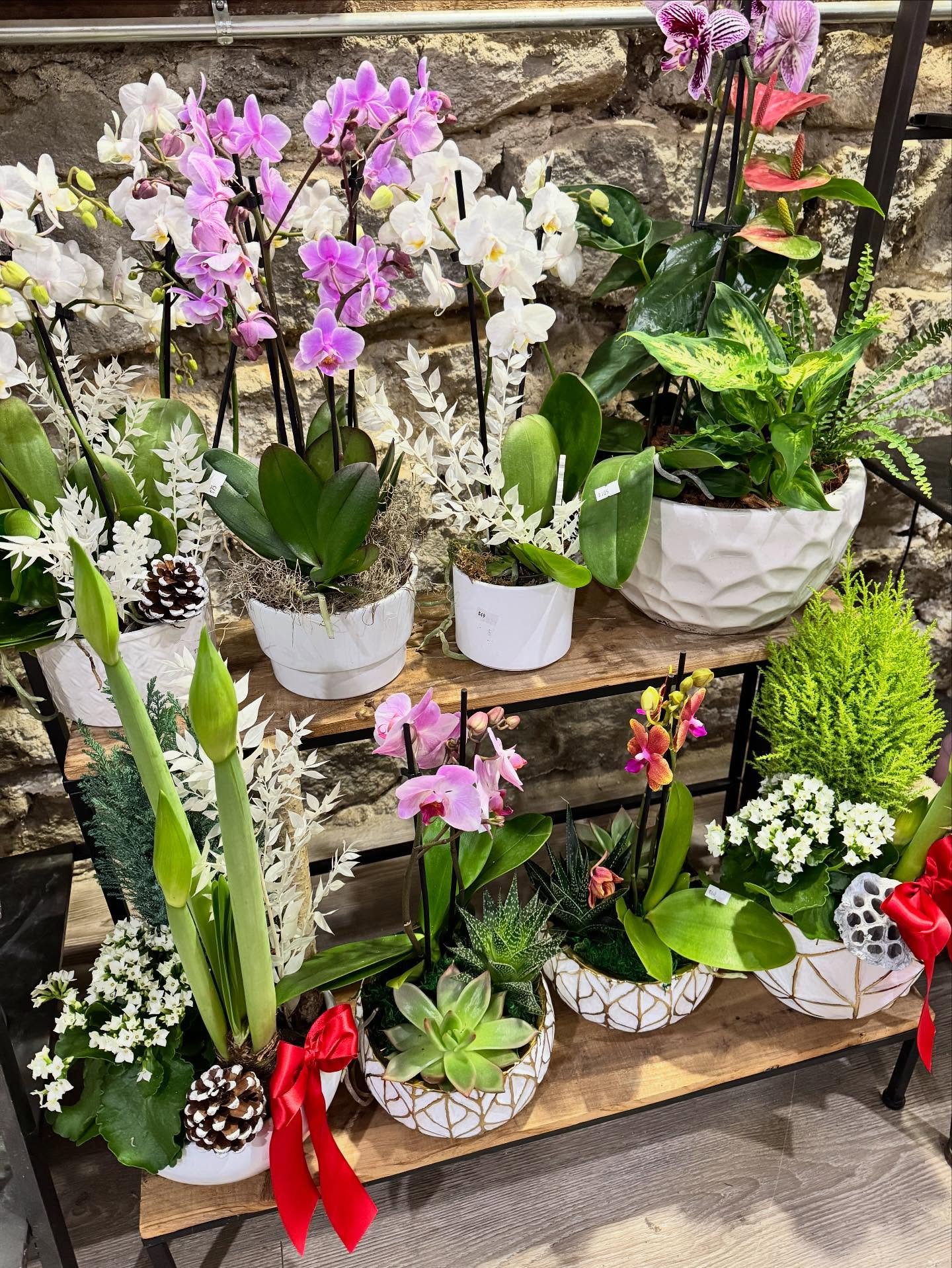 Stop by this Saturday for a holiday planter. An early treat before the decorations are all up! 🎄