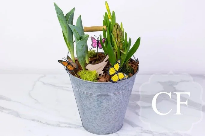 Spring bulb planters now available! ☀️ $42-$54