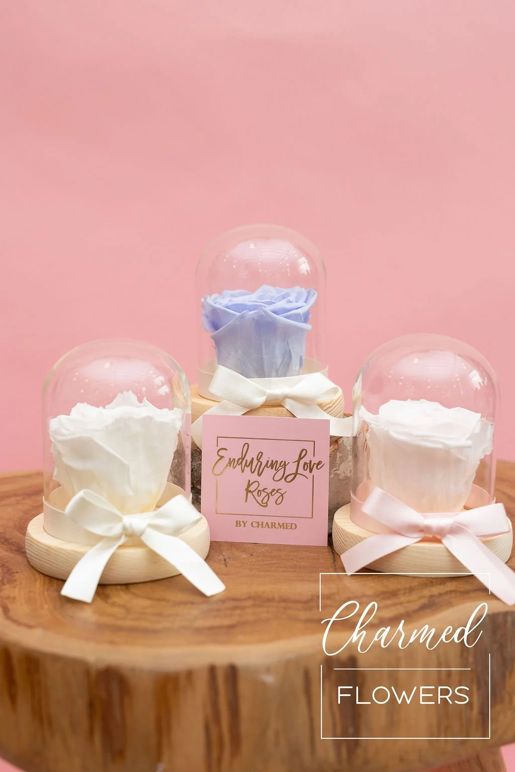 Enduring Love Rose Cloche