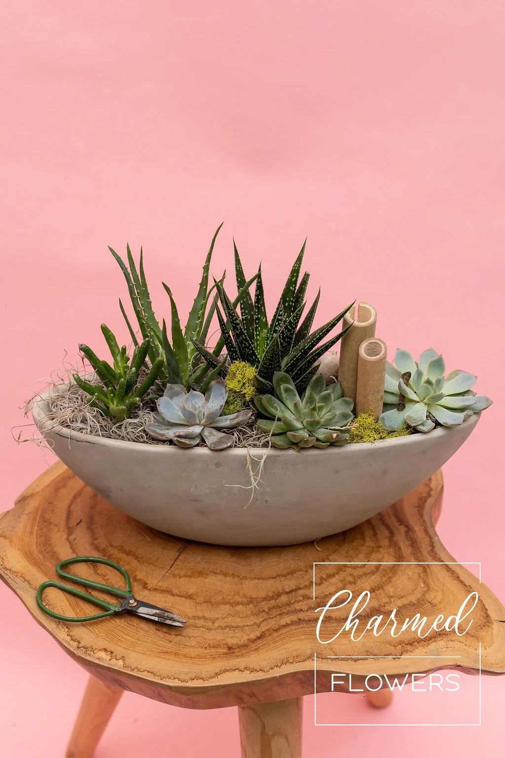 Cement Succulents - Boat