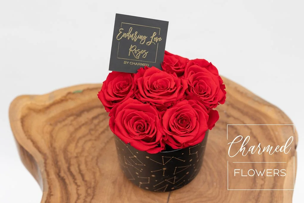 Enduring Love Constellation Arrangement