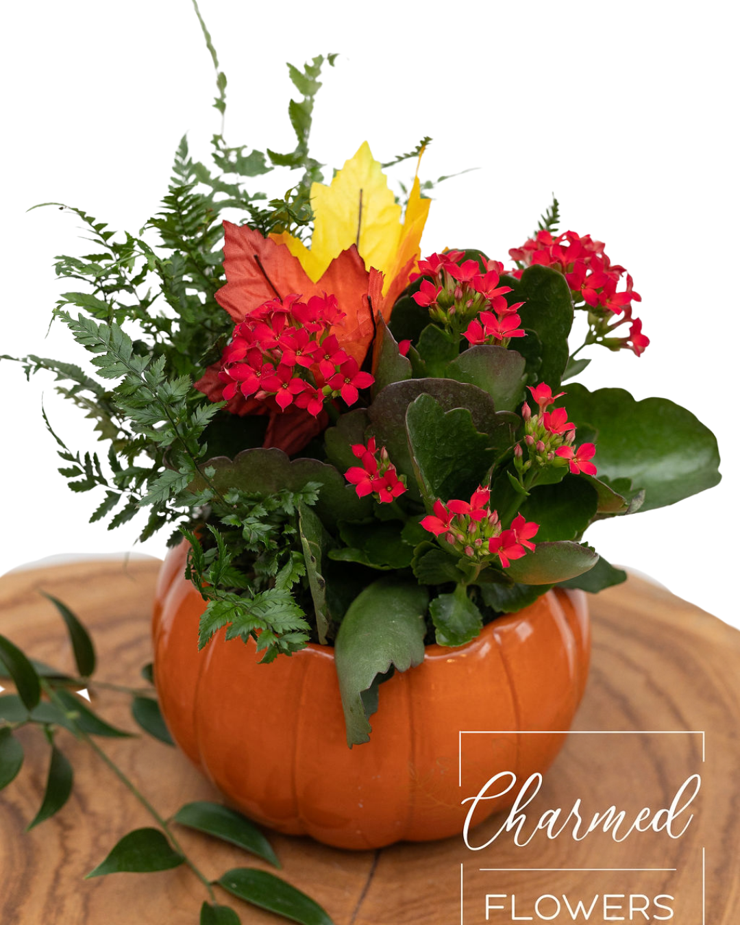 Pumpkin Planter