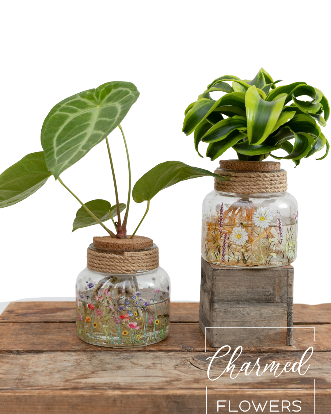 H2O Plants - Vase