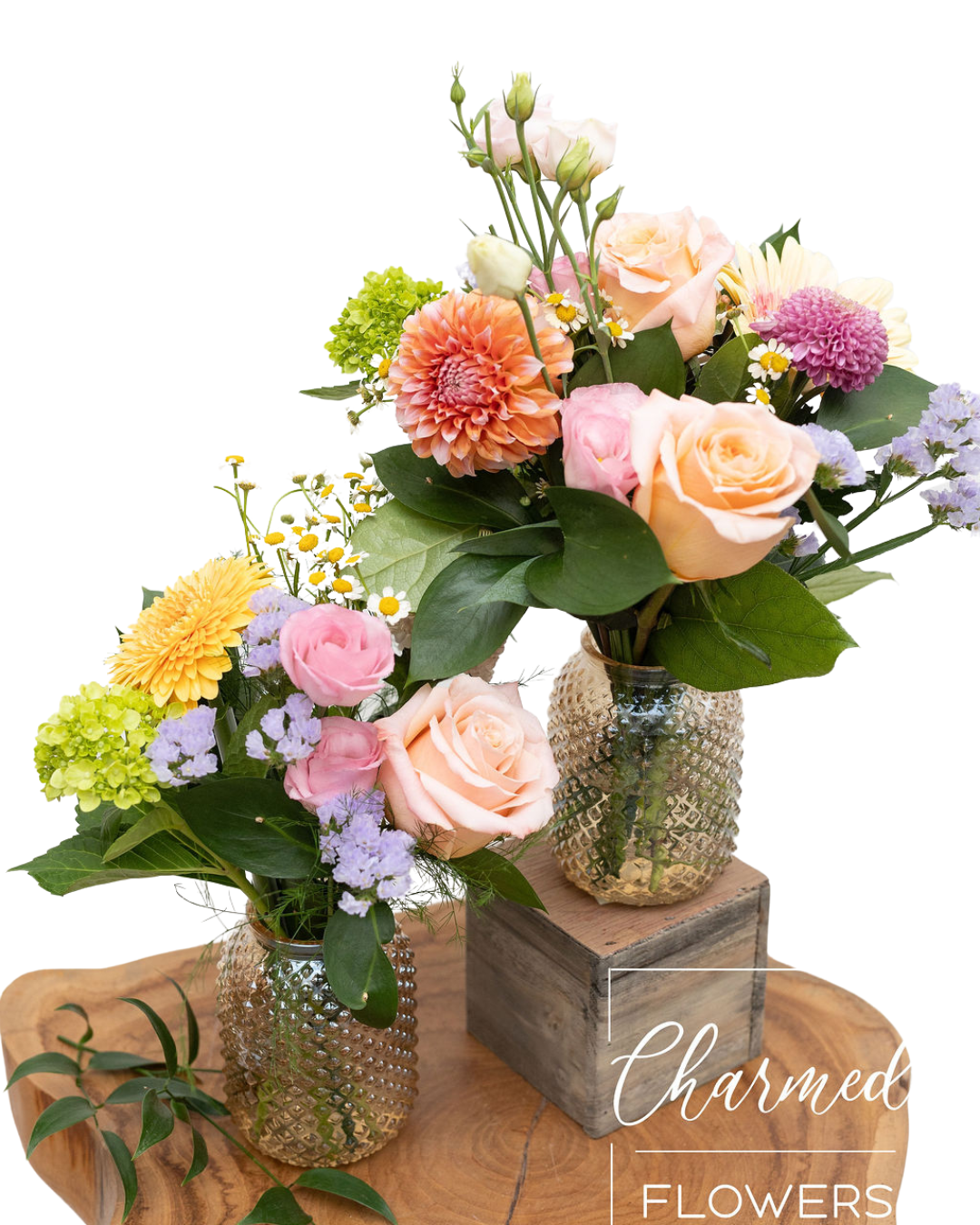 The Pastel Pop Mini Arrangement