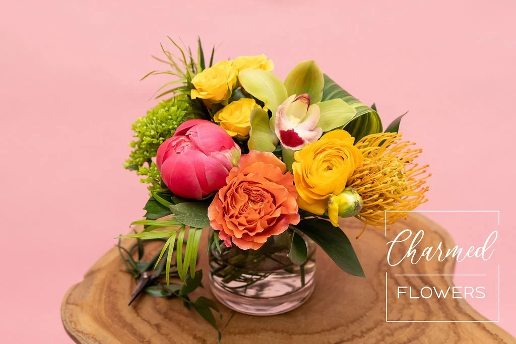 The Citrus Garden, bright, bold, and colourful. Tropical spring feel!