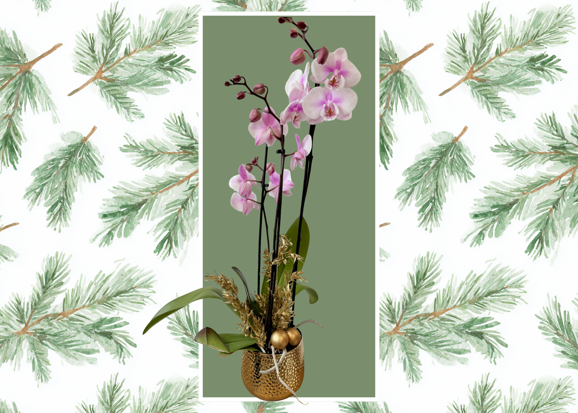 Untitled (7 x 5 in).png
