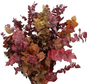 eucalyptus-stuartiana-autumn.jpg