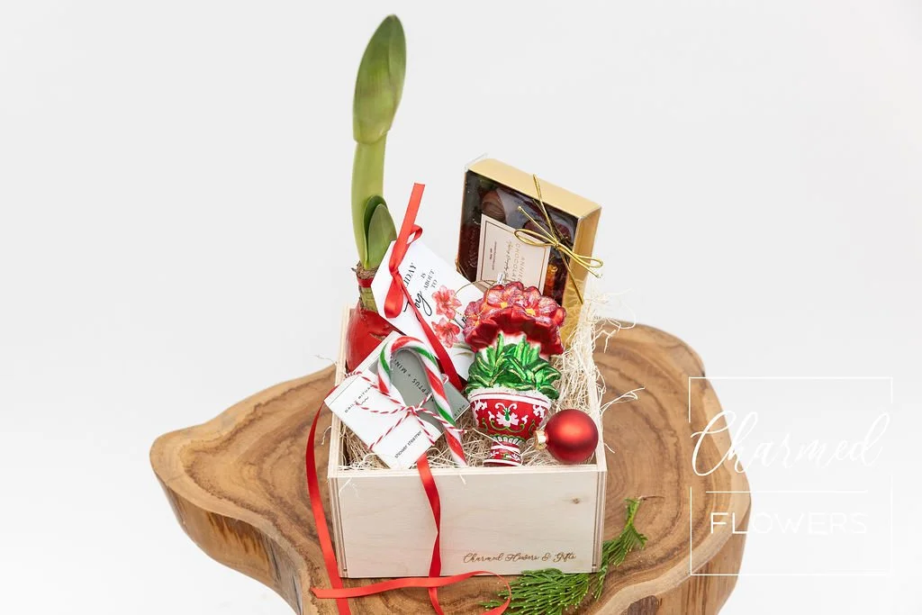 The Amaryllis Ornament Bundle 2