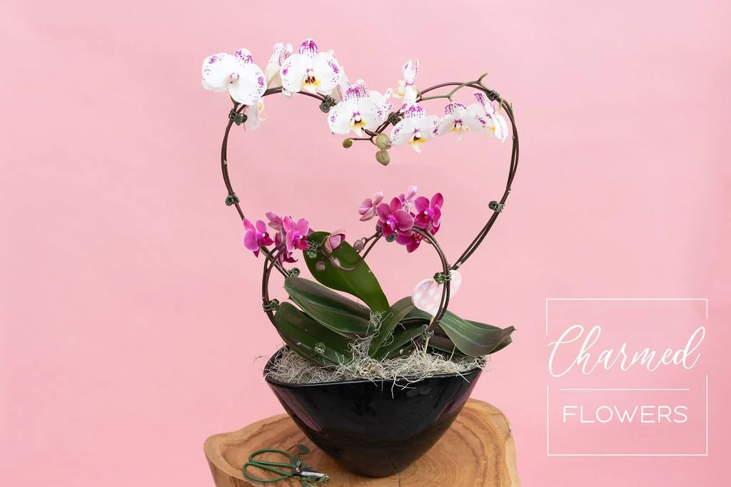 Heart Shaped Orchids is features two orchid stems in the shape of a heart