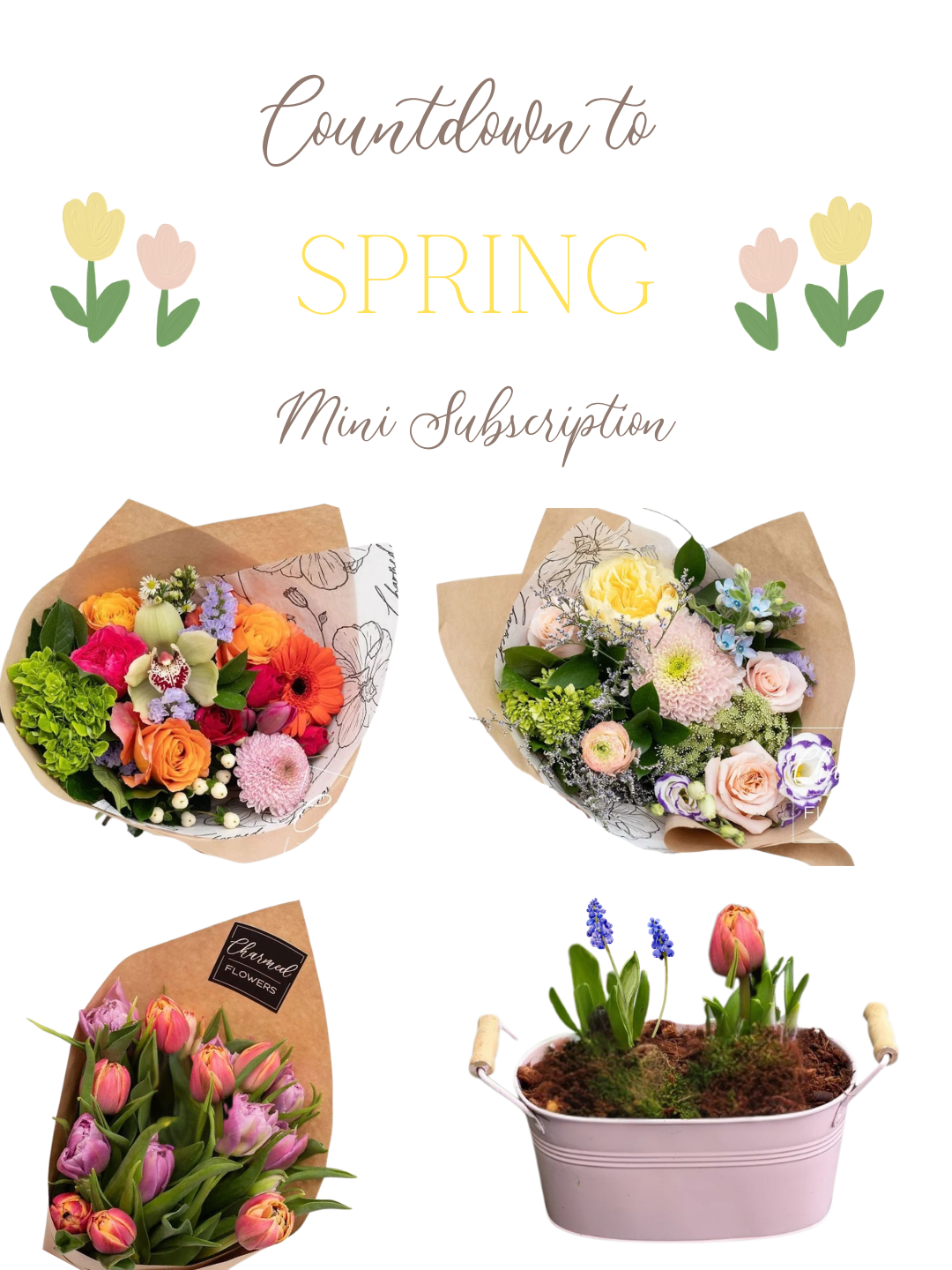 Spring Mini Subscription