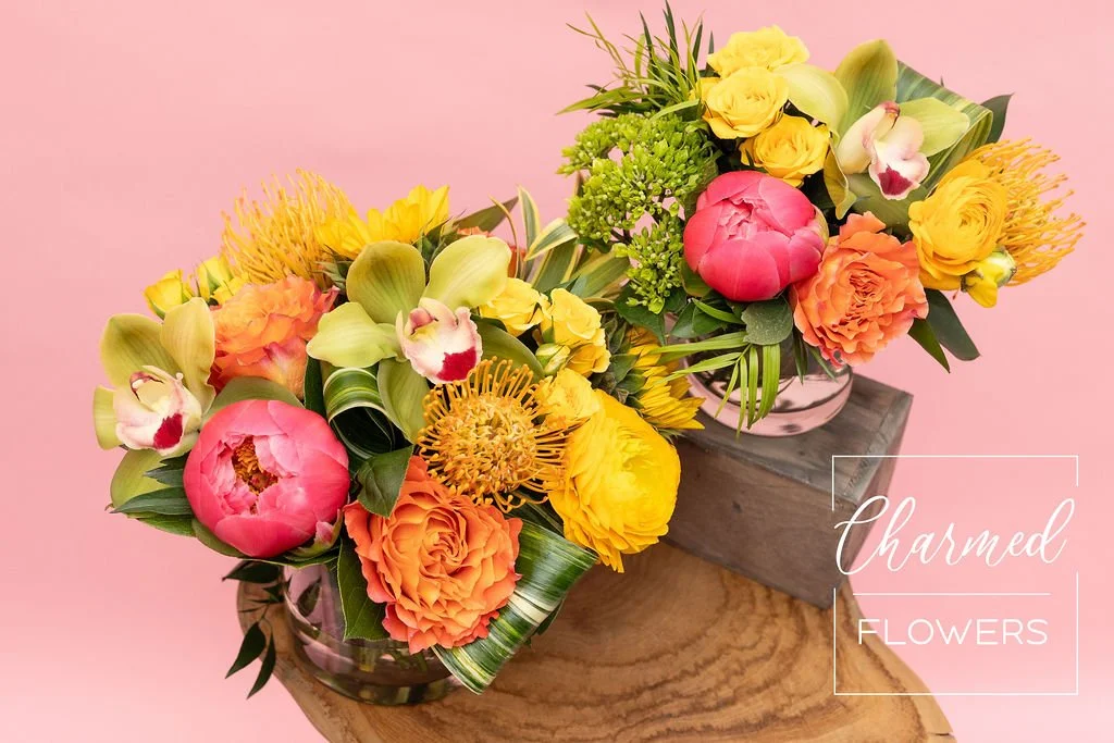 The Citrus Garden, bright, bold, and colourful. Tropical spring feel!