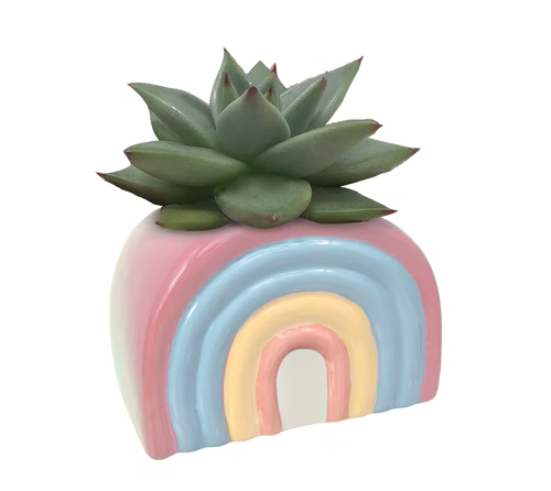 LMNS125_PINK.png