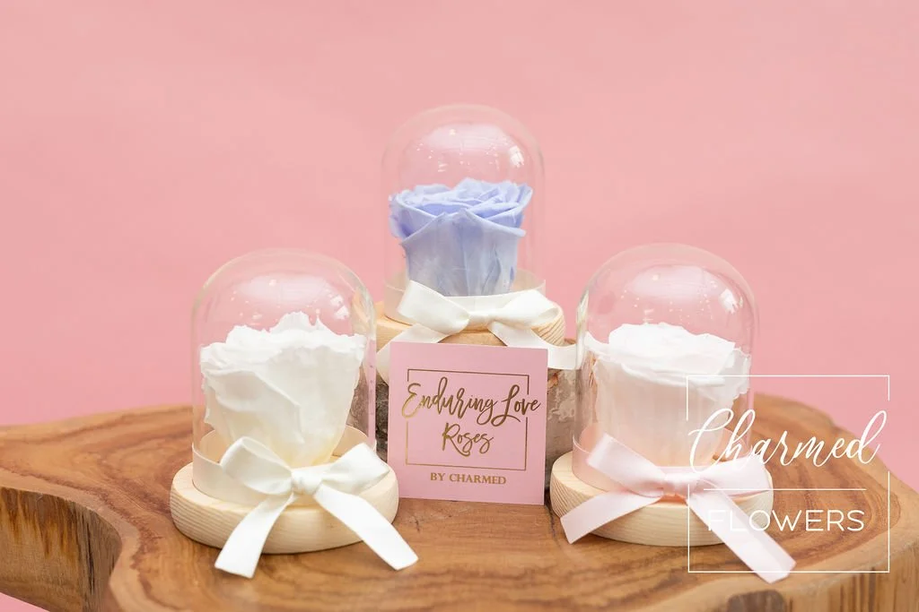 Enduring Love Roses in a display cloche, your choice of colour Pink, White, or Blue