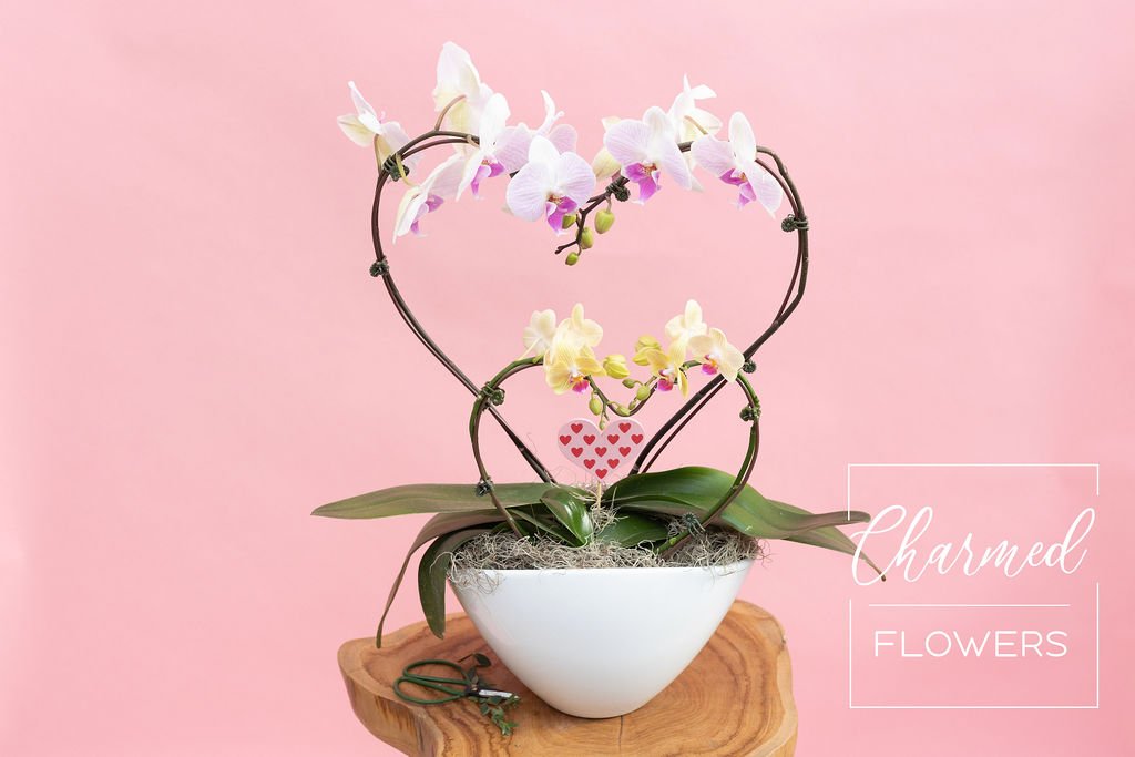 Heart Shaped Orchids is features two orchid stems in the shape of a heart