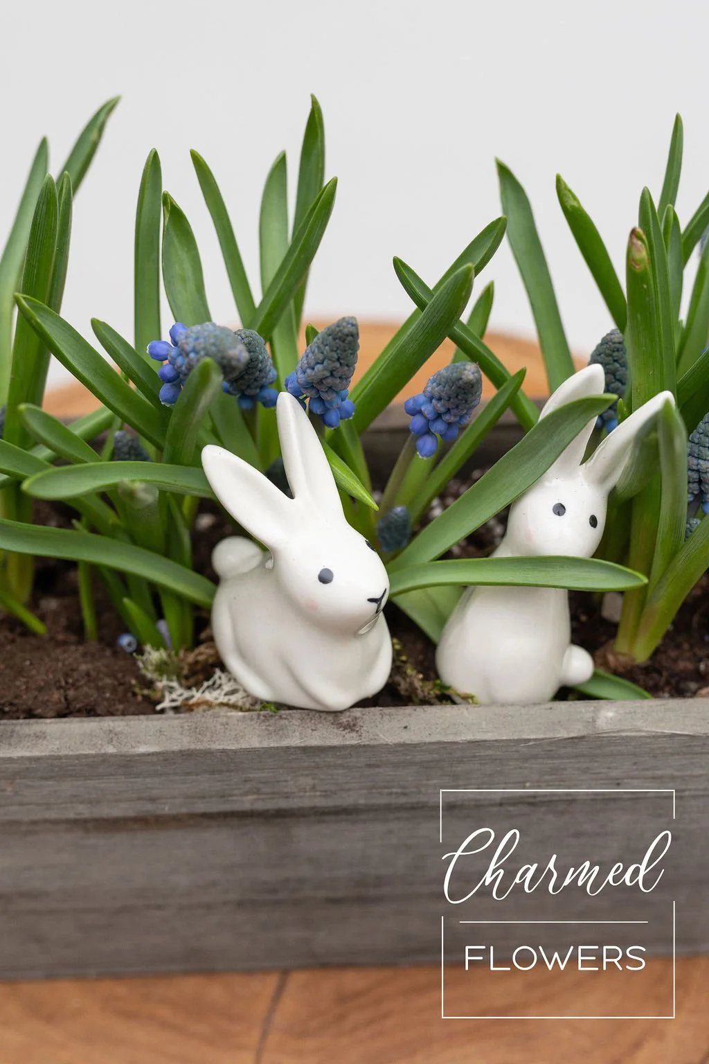 Add Bunnies to Your Planter